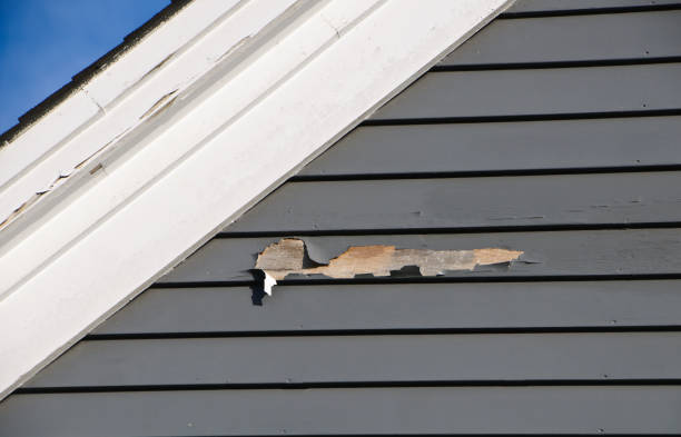 Best Shed Removal  in Telford, PA